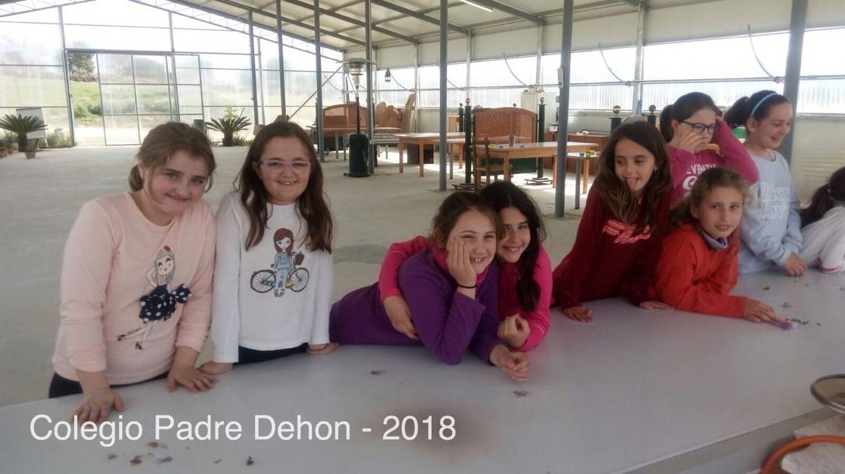 IMAGE 2018 04 18 09:09:32